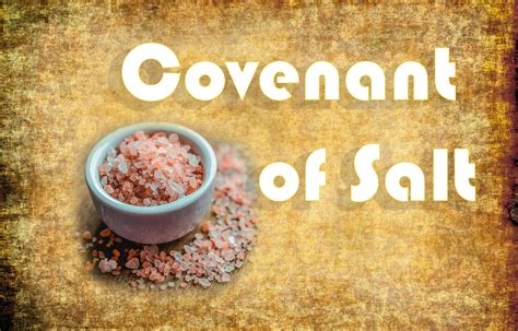 The Salt Covenant