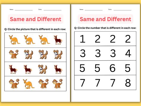 The Same But Different Answer Key