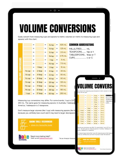The School Volume 