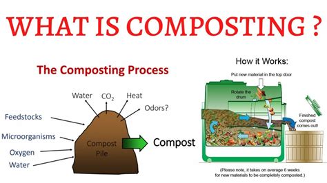 The Science And Engineering Of Composting Cornell University Compost Science Experiments - Compost Science Experiments