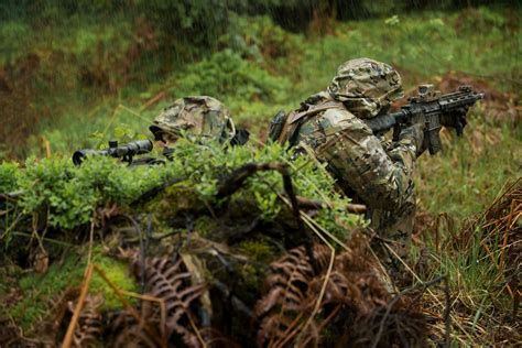 The Science Behind Camouflage How It Helps You Science Camouflage - Science Camouflage