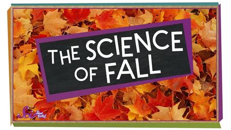 The Science Behind Fall How And Why Leaves The Science Of Fall - The Science Of Fall