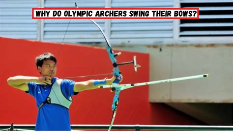 The Science Behind Olympic Archery Physics And Biomechanics Science Of Archery - Science Of Archery