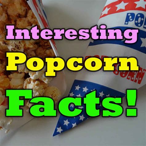 The Science Behind Popcorn How It Works Pop The Science Of Popcorn - The Science Of Popcorn
