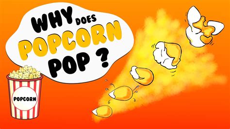 The Science Behind Popcorn Popping And How It The Science Of Popcorn - The Science Of Popcorn