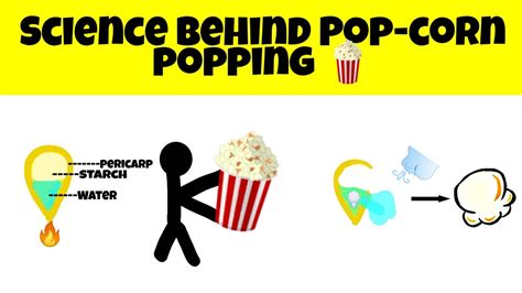 The Science Behind Popcorn Science Behind Popcorn - Science Behind Popcorn