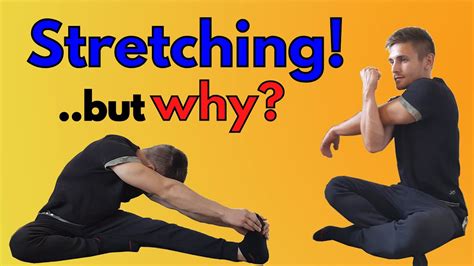 The Science Behind Stretching Reach Stretch Amp Recovery Stretch Science - Stretch Science
