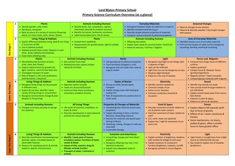 The Science Curriculum In Primary And Lower Secondary Middle School Science Subjects - Middle School Science Subjects