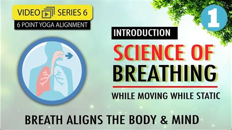 The Science Of Breathing University Of New Mexico Science Behind Deep Breathing - Science Behind Deep Breathing