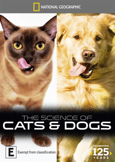 The Science Of Cats National Geographic Science Of Cats - Science Of Cats