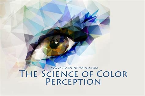The Science Of Color Perception Knowable Magazine Science Colours - Science Colours