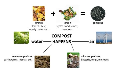 The Science Of Compost Networx Composting Science - Composting Science