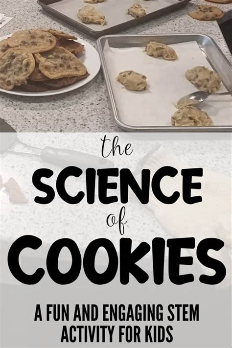 The Science Of Cookies 8211 Science And Food Science Of Cookies - Science Of Cookies