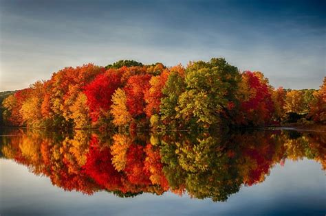 The Science Of Fall Foliage Unlikely Gardener The Science Of Fall - The Science Of Fall