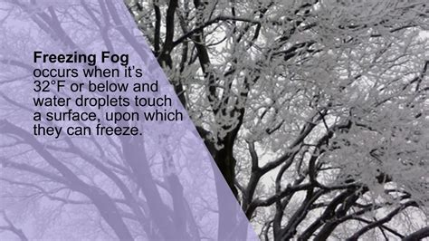 The Science Of How Fog Works And Why Science Of Fog - Science Of Fog