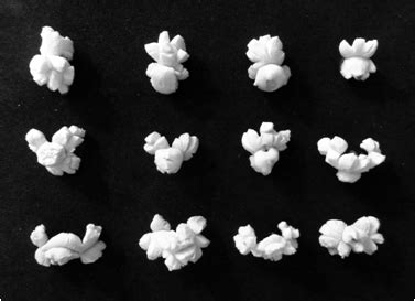 The Science Of Popcorn Royal Society The Science Of Popcorn - The Science Of Popcorn