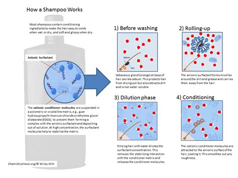 The Science Of Shampoo What The Ingredients Mean Shampoo Science - Shampoo Science