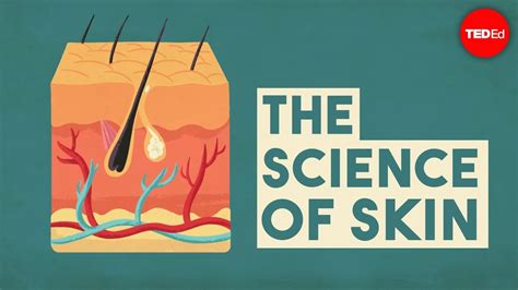 The Science Of Skin Emma Bryce Youtube Skin Science - Skin Science