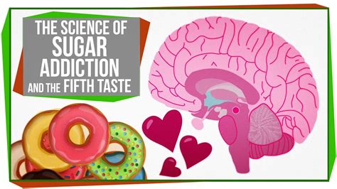 The Science Of Sugar Addiction Part 3 Science Of Sugar - Science Of Sugar