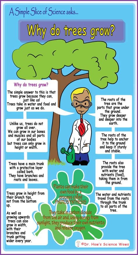 The Science Of Trees The Flourishing Tree Tree Of Science - Tree Of Science
