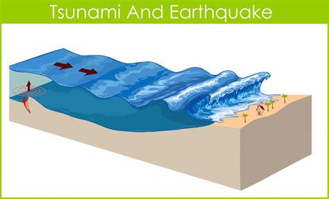 The Science Of Tsunamis Sciencedaily Tsunami Science Experiments - Tsunami Science Experiments