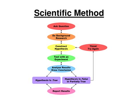 the scientific method quizlet