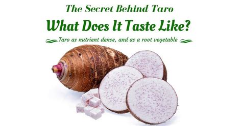 The Secret Behind Taro What Does It Taste Contoh Warna Taro - Contoh Warna Taro