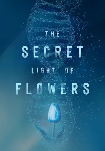 the secret of light