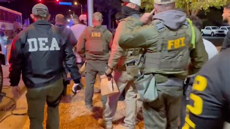 The Secrets Of The Dea