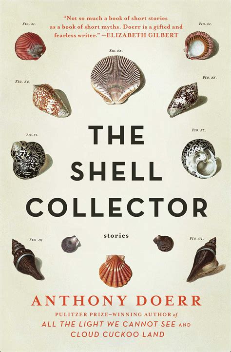 the shell collector