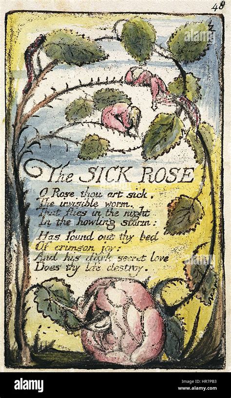 The Sick Rose