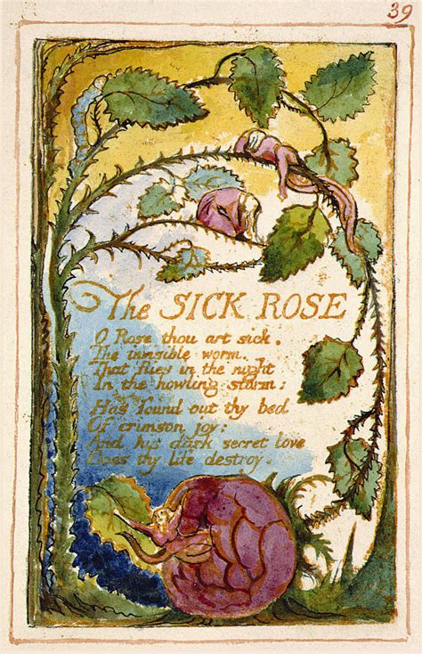 The Sick Rose Blake