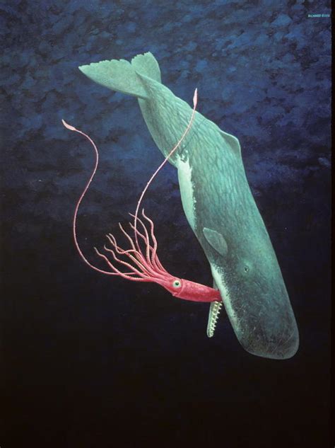 The Squid And The Whale Painting
