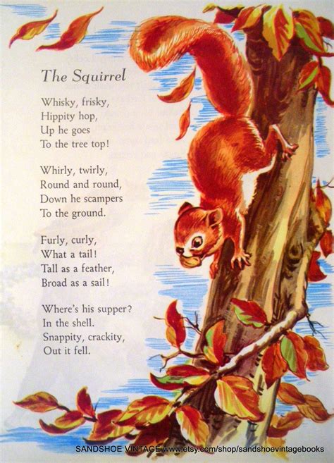 The Squirrel Poem