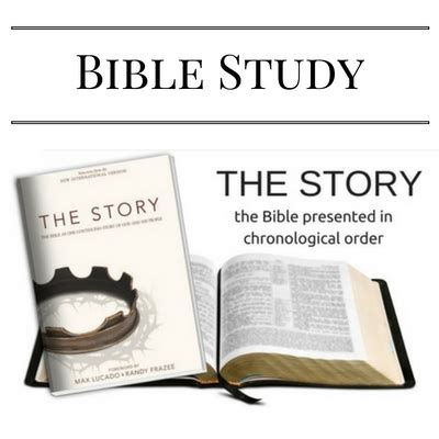 the story bible study