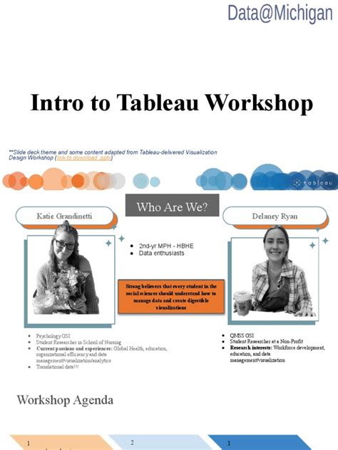The Tableau Workshop Pdf