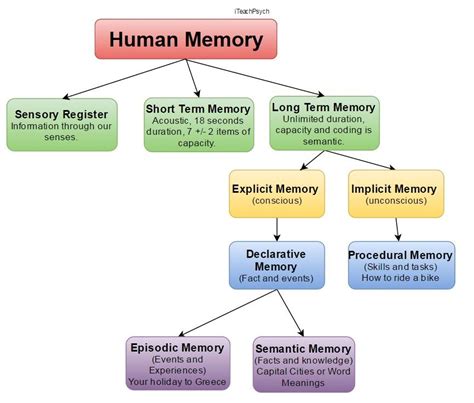 The Three Functions Of Memory Are