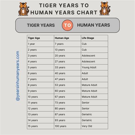 The Tiger Years