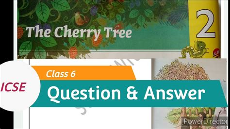 The Tree Question Answer