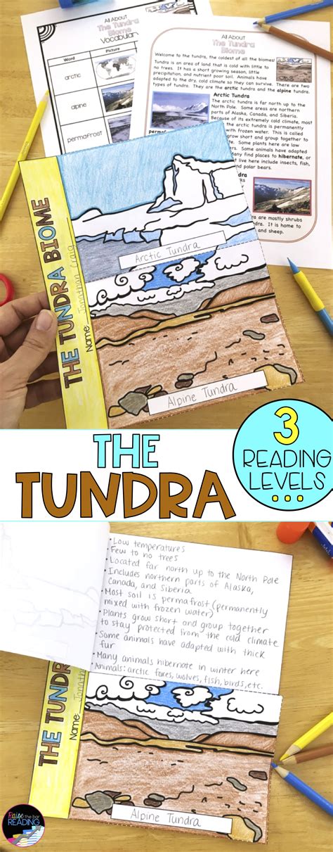 The Tundra Biome 3rd Grade Reading Comprehension Worksheet Tundra Biome Worksheet - Tundra Biome Worksheet
