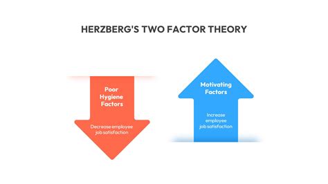 The Two Factor Theory About The Development Of Phobias