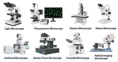The Type Of Microscope Used In Our Lab Is The: