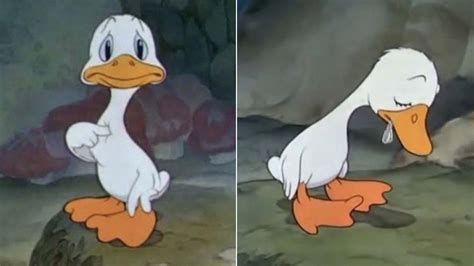 The Ugly Duckling