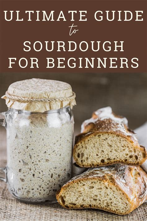 The Ultimate Sourdough Starter Guide The Perfect Loaf Science Of Sourdough Starter - Science Of Sourdough Starter