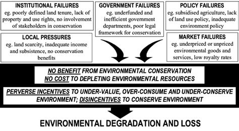 The Underlying Causes Of Environmental Degradation