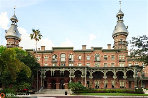 the university of tampa