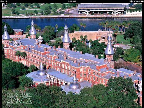 the university of tampa