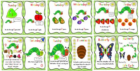 The Very Hungry Caterpillar Story Sequence Esl Worksheet The Very Hungry Caterpillar Sequencing Worksheet - The Very Hungry Caterpillar Sequencing Worksheet