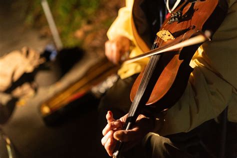 The Violinist's Thumb Summer Assignment Answers