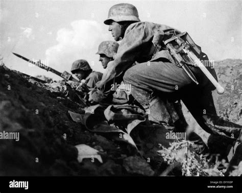 The Waffen Ss